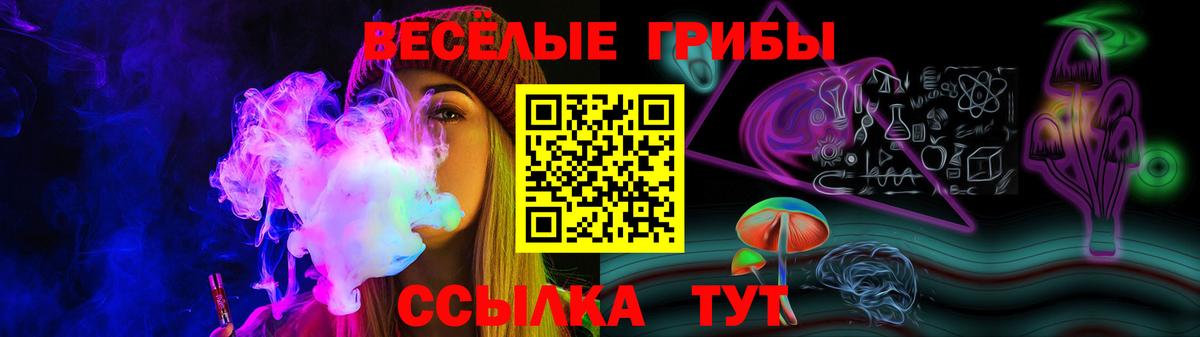 Псилоцибиновые грибы прущие грибы  купить  цена  Миасс  Вход с VPN 